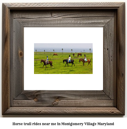 horse trail rides near me in Montgomery Village, Maryland